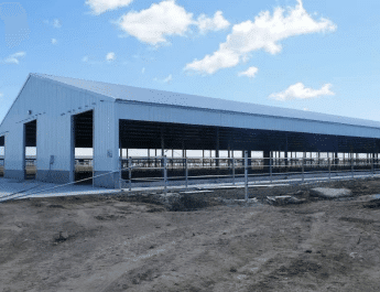 Steel Structure Farm Breeding Building