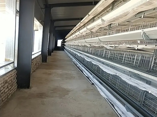 https://www.keruisteel.com/wp-content/uploads/2025/02/steel-chicken-shed-5.jpg