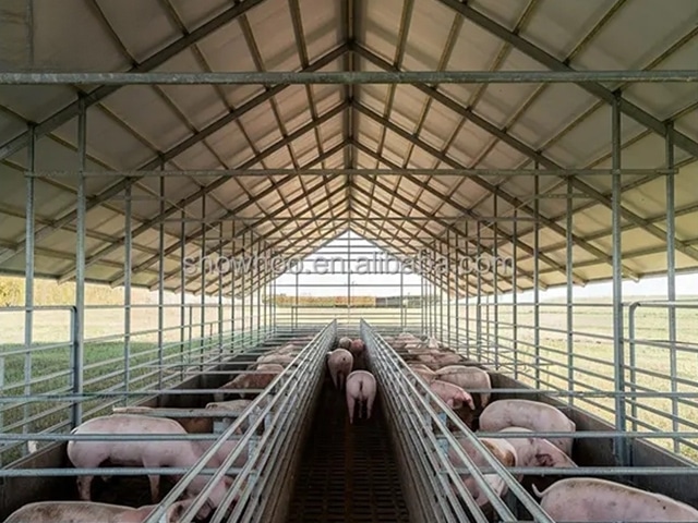 https://www.keruisteel.com/wp-content/uploads/2025/02/steel-pig-shed-1.jpg