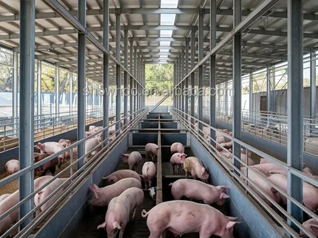 https://www.keruisteel.com/wp-content/uploads/2025/02/steel-pig-shed-3.jpg
