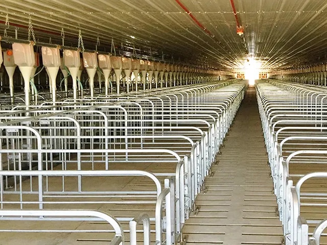 https://www.keruisteel.com/wp-content/uploads/2025/02/steel-pig-shed-7.jpg